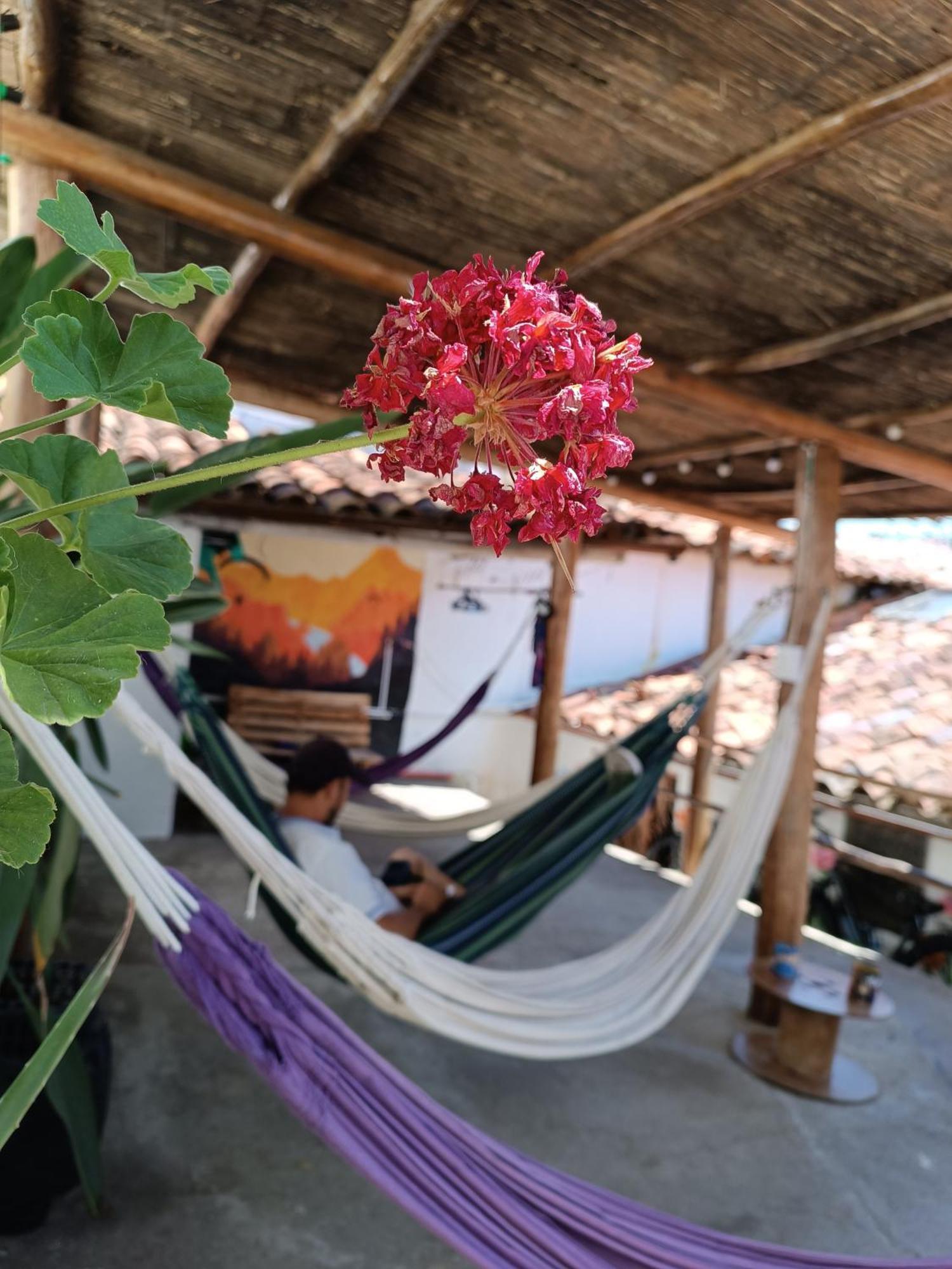 Adventure Hostel San Gil Kültér fotó